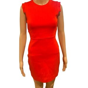 Stunning Babaton dress